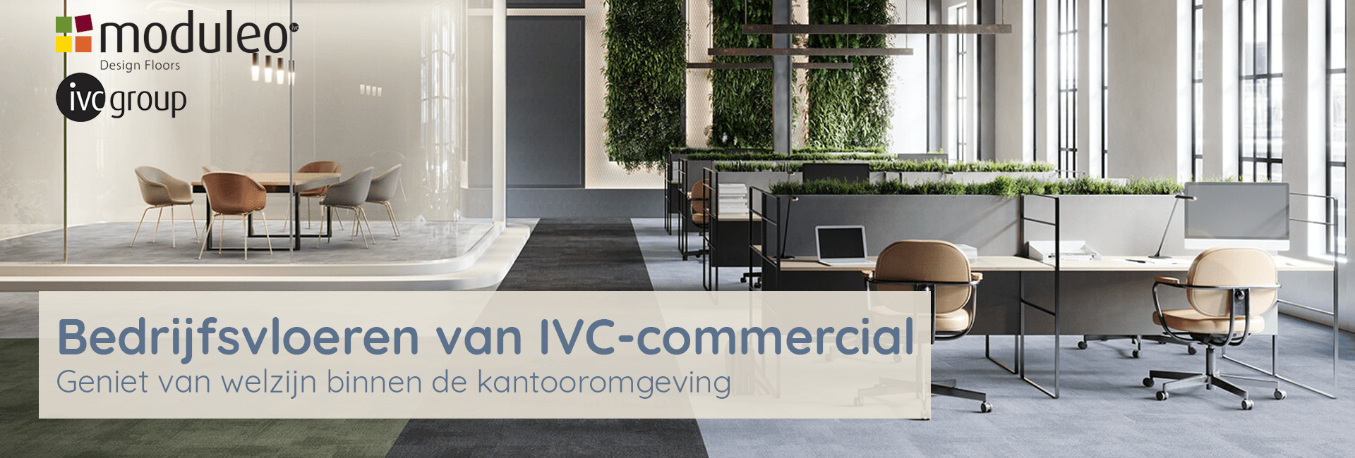 IVC-commercial